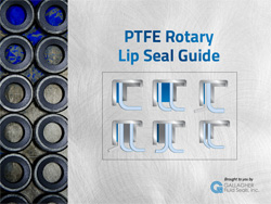 lip-seal-guide